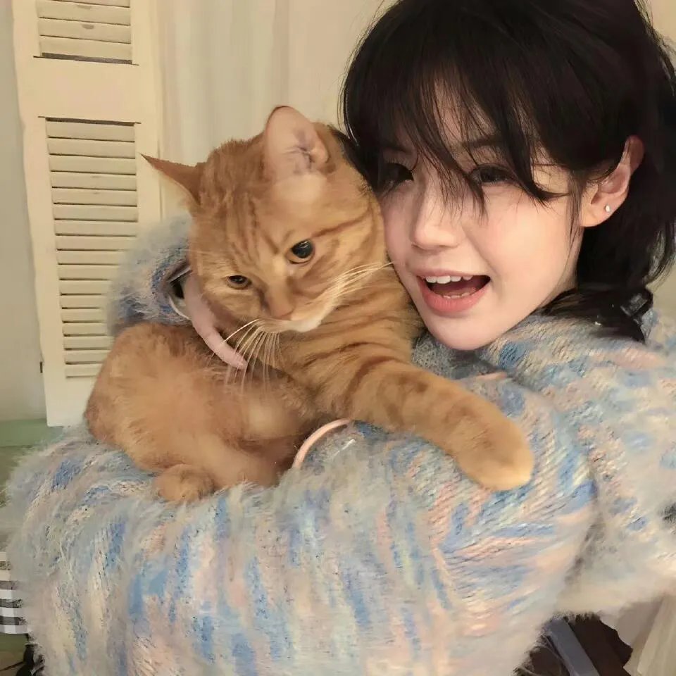 猪猡之王